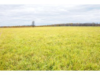 Property photo 40 - REAL ESTATE AUCTION - 1,428+/- ACRES OFFERED IN 10 TRACTS IN PRICE CO., WI